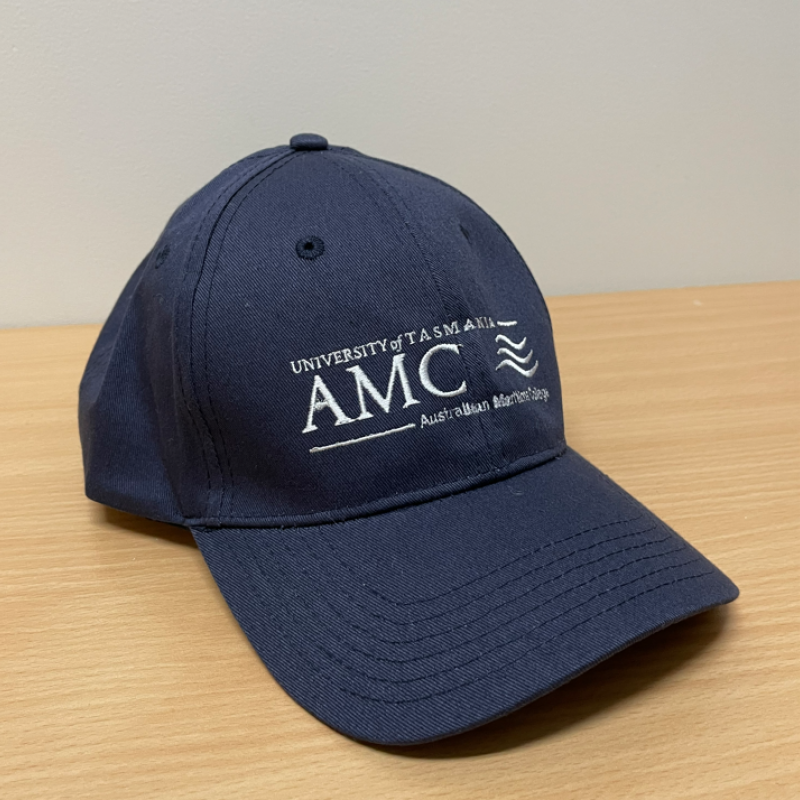 AMC Cap